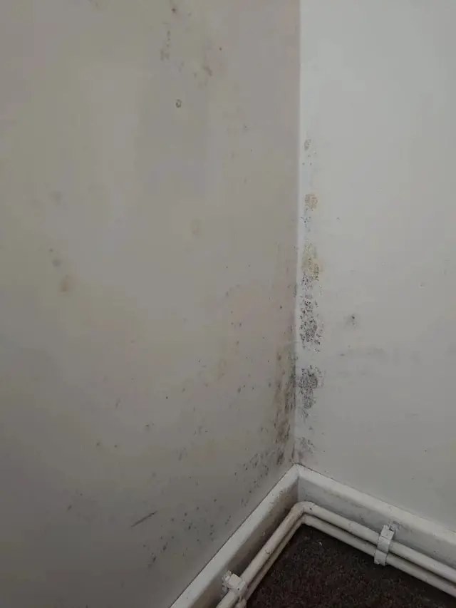 Condensation Dampness causing mould and mildew issues