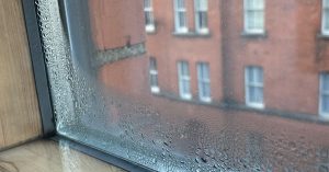 Read more about the article Condensation Dampness – What it is and How to Fix