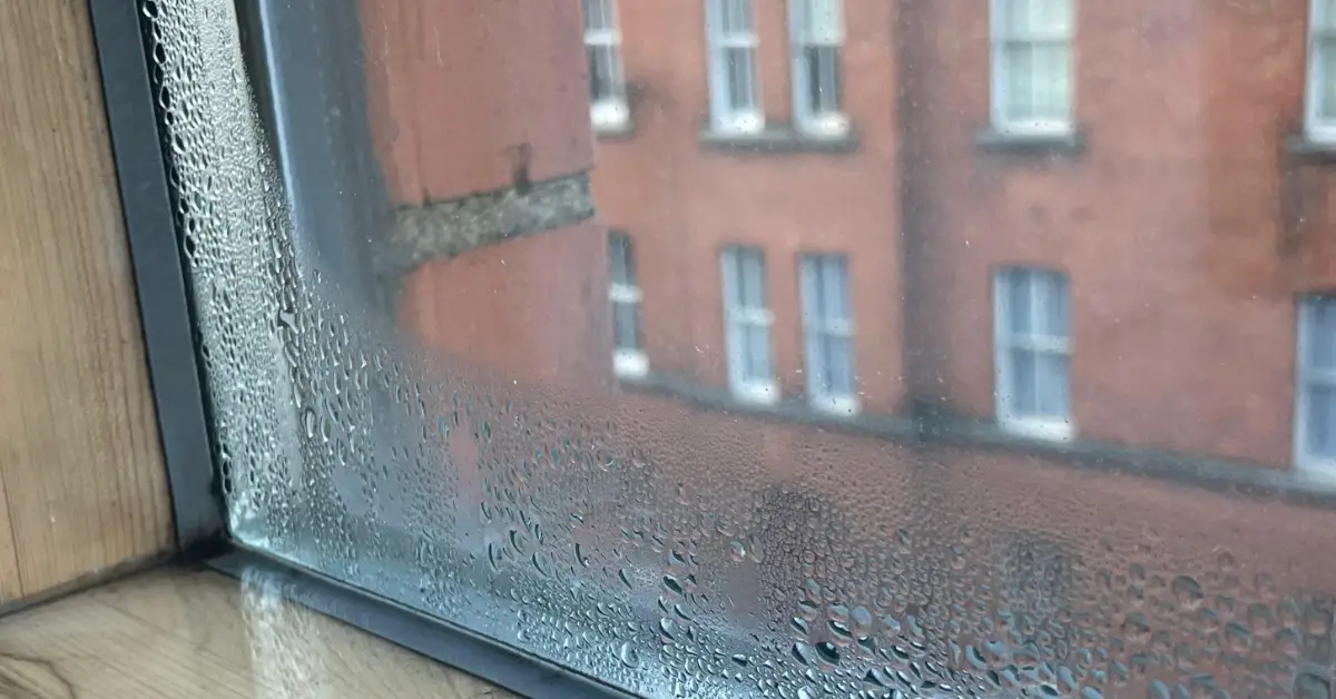 Condensation Dampness – What it is and How to Fix