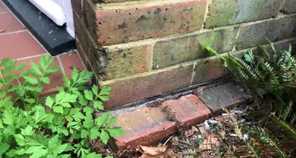 Damp Proof Course Old Houses Close External Path Level