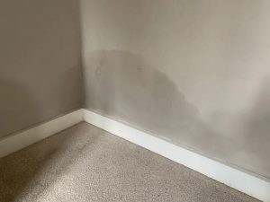 Read more about the article How to treat Rising Damp in an old house