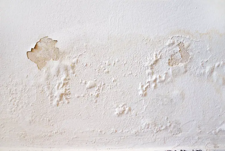 Penetrating Damp Signs Such as crumbly plaster or flaky paint