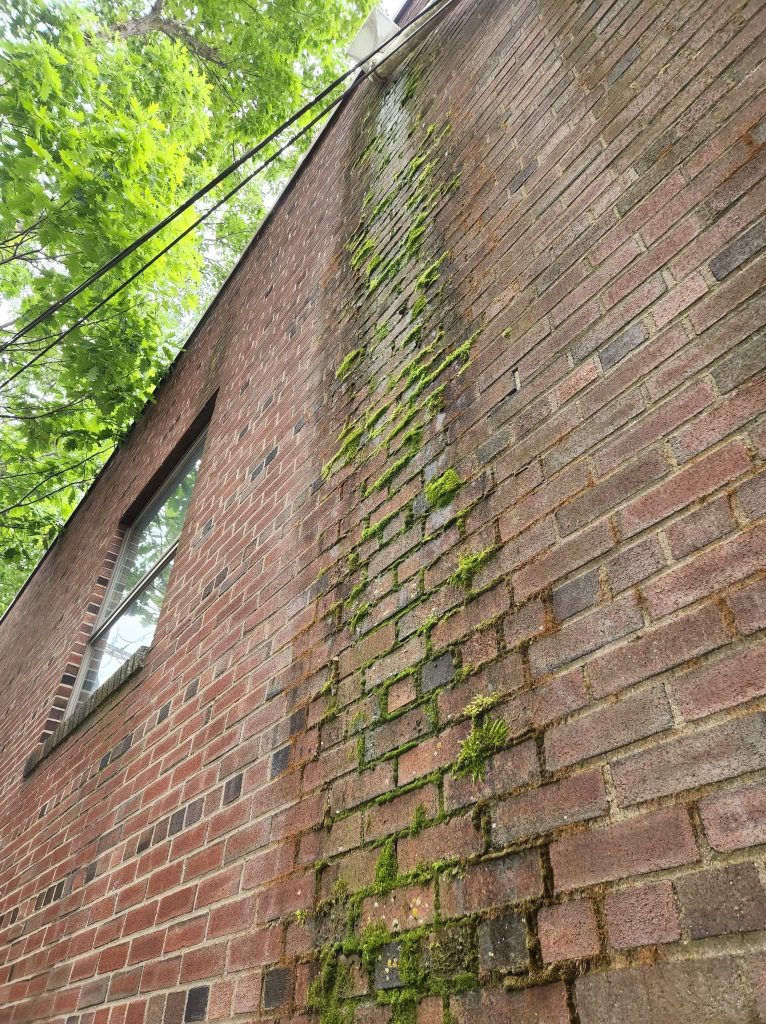 Penetrating Damp in Old Houses caused by poor brickwork