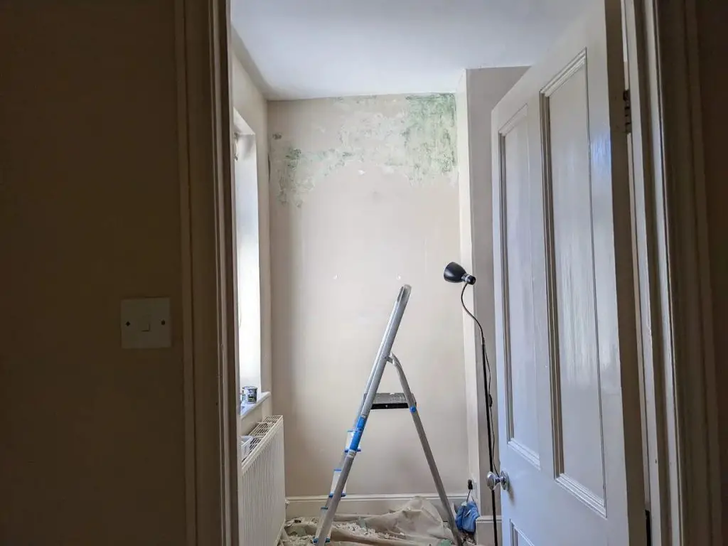 Breathable Paints for Lime Plaster Which Is Often Found in Old Houses