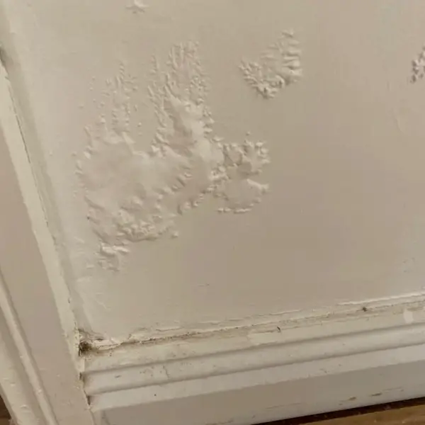 Cold Walls In Old House Can Lead To Damp