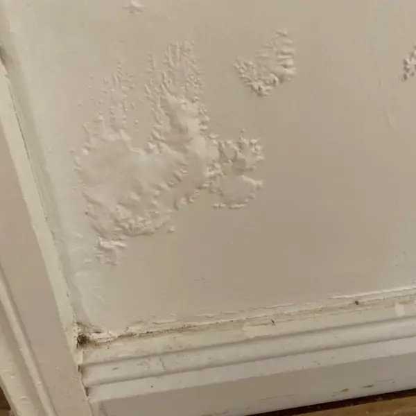 Cold Walls In Old House Why They Happen And How To Fix   Cold Walls In Old House Signs Of Damp 