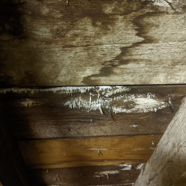 Treatment of Wet Rot - Check your floorboards for signs