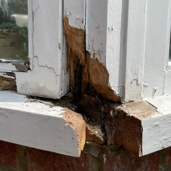 Treatment of Wet Rot - Window Frame Damage Example