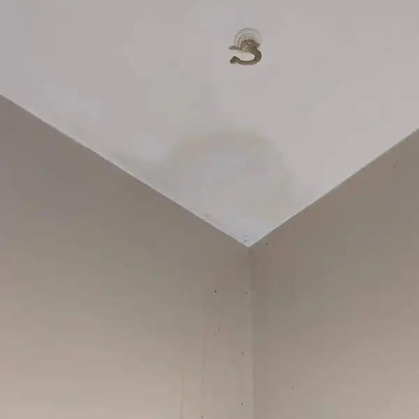 Condensation Stain on Ceiling Multiple Issues Can Cause