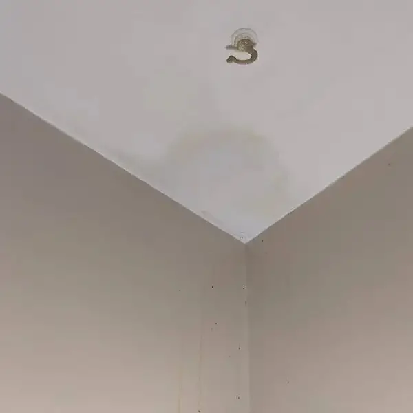 Condensation Stain on Ceiling - Why it happens & How to fix