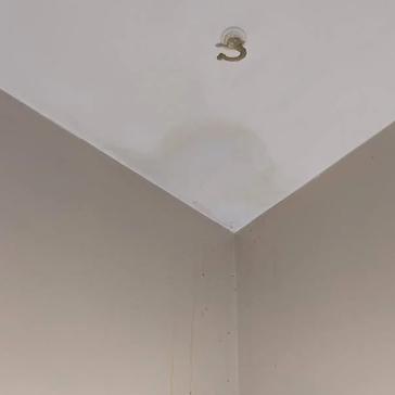 Condensation Stain On Ceiling Why It