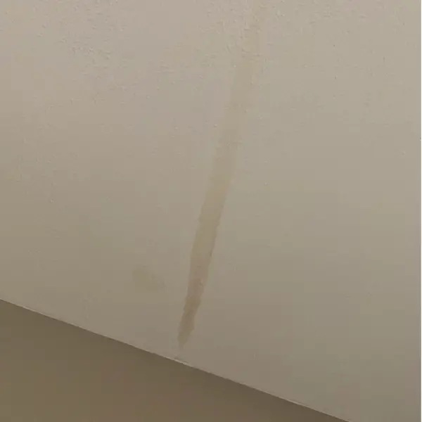 Condensation Stain on Ceiling - Look For Water Marks