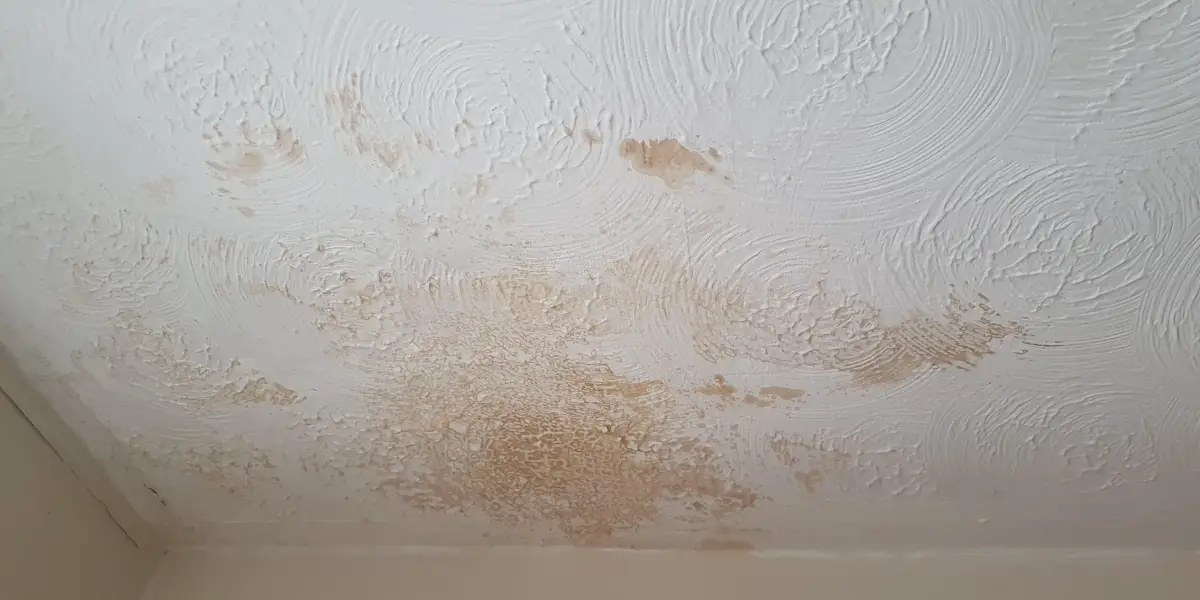 Condensation Stain on Ceiling – Why it happens & How to fix